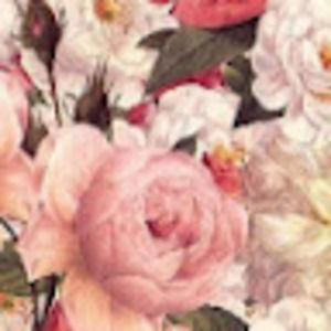 Meet your Posher, Jani